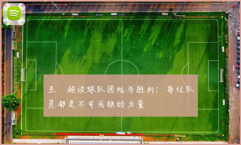 王燊超谈球队团结与胜利：每位队员都是不可或缺的力量