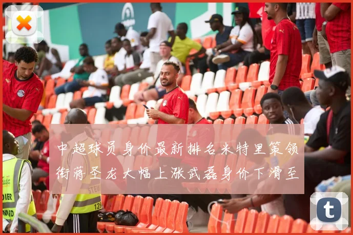 中超球员身价最新排名米特里策领衔蒋圣龙大幅上涨武磊身价下滑至50万